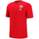Wales WRU macron Rugby Kinder Trainings Trikot 58140002 – JS 120-132