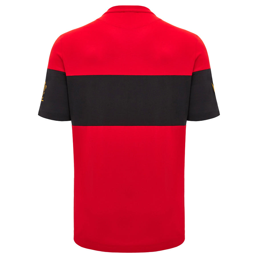 Wales WRU macron Rugby Herren Freizeit Shirt 60003838