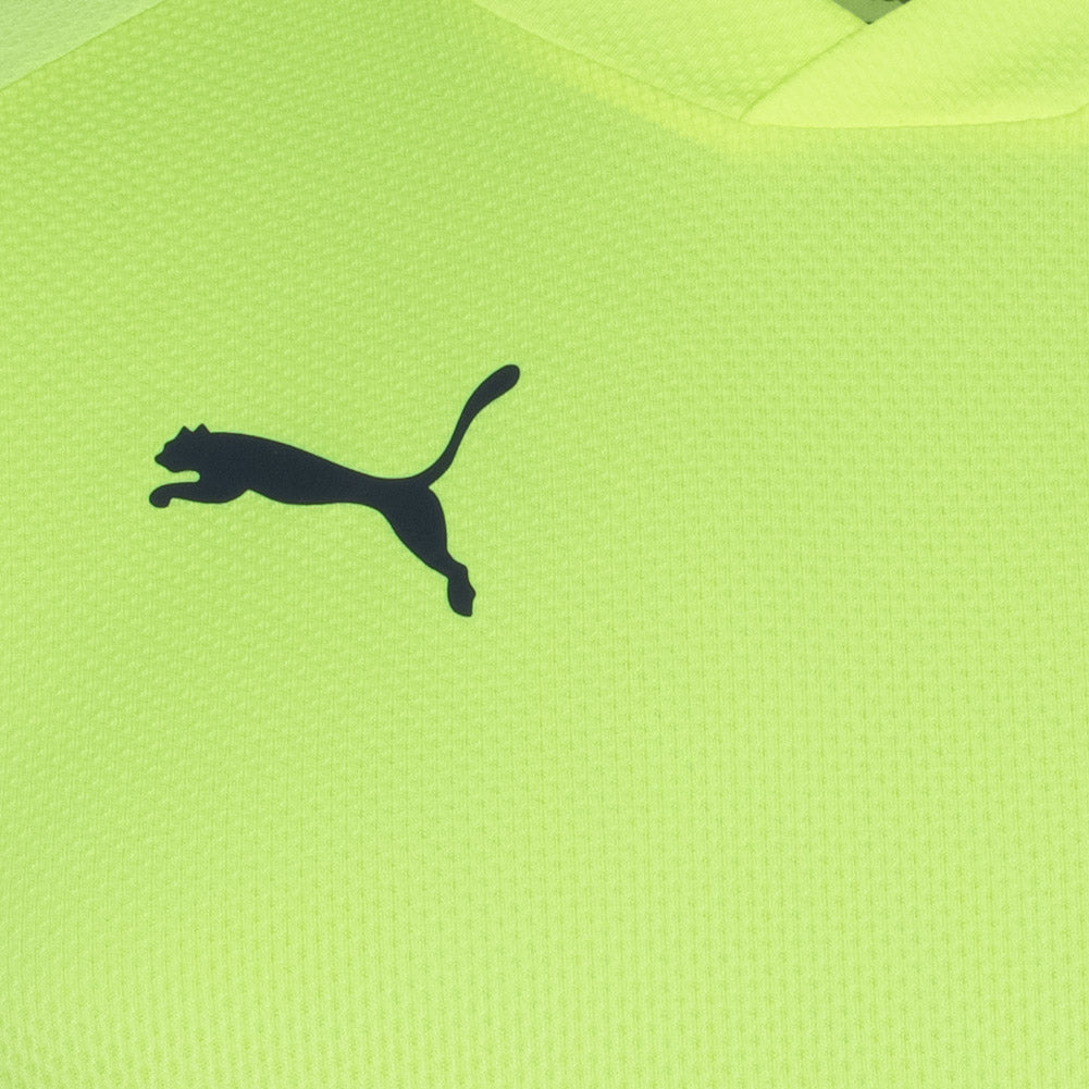 PUMA individualFINAL Herren Trikot 658037-47