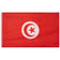 TÃºnez Bandera MUWO 